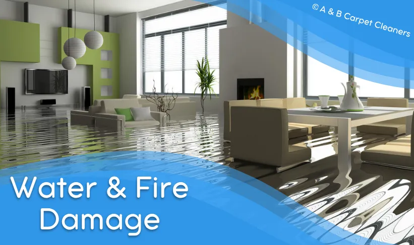 Expert Water And Damage Service